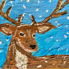 Deer in Snow