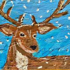 Deer in Snow
