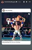 2023_05_18 - British Bulldog Account Story (Instagram).jpg