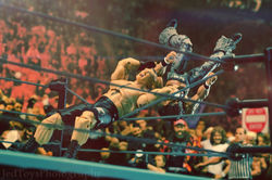 It's Wrestling Time!