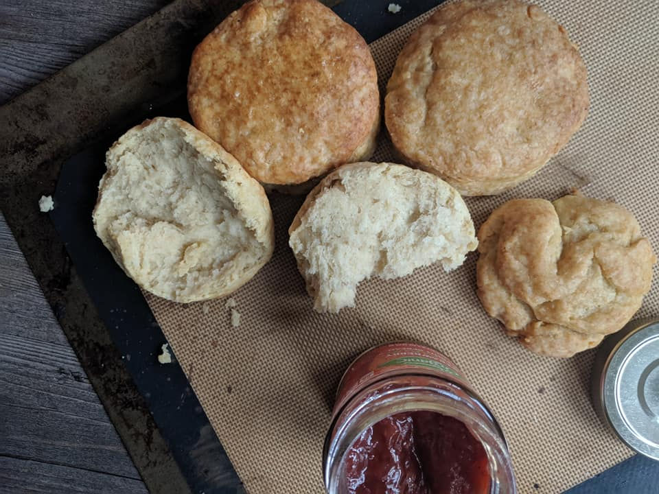 Vegan ButterMilk Biscuits | Studio Vegan