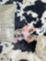 MICRO MINI TEACUP PIGS FOR SALE