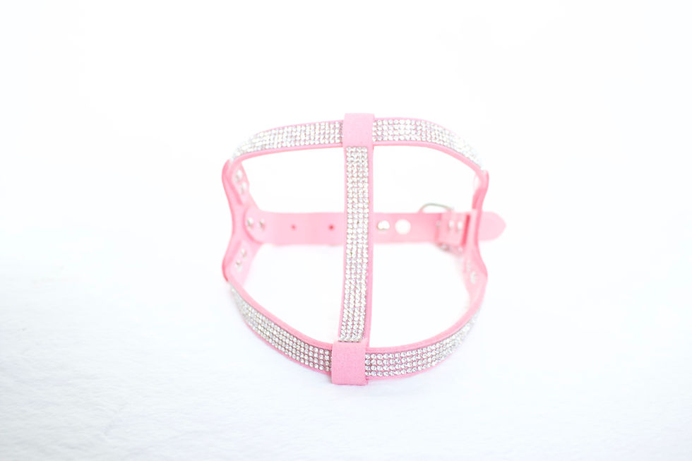 Thumbnail: WALKING HARNESS