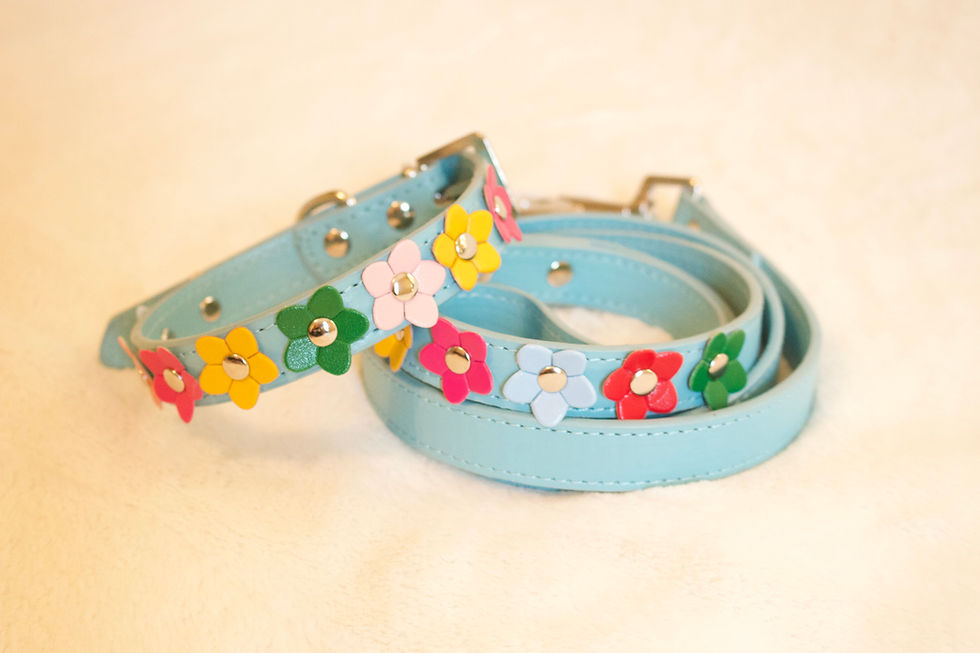 Thumbnail: FLOWER PIG LEASH COLLAR SET