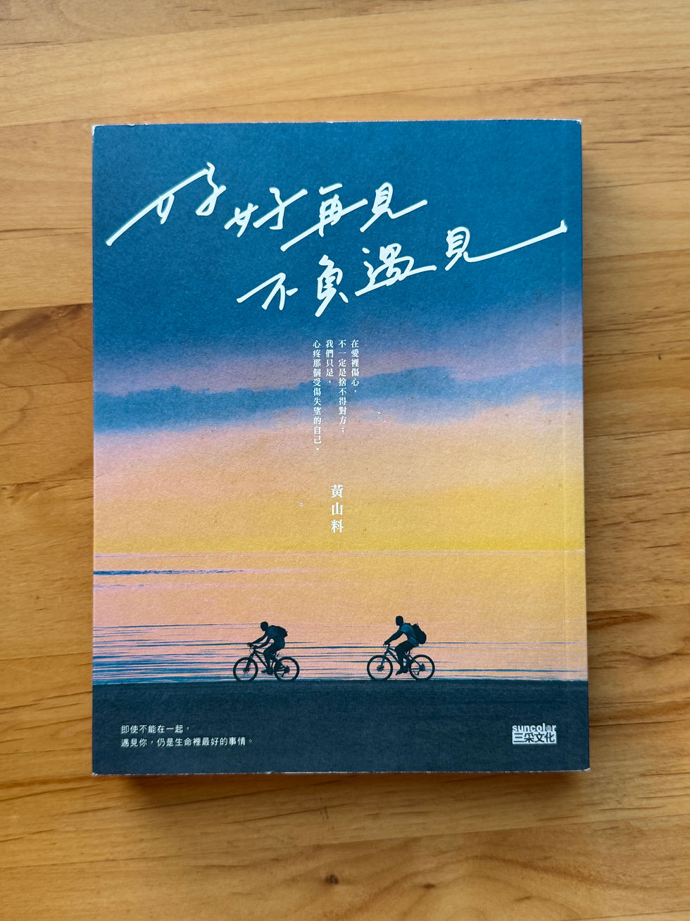 好好再見 不負遇見 (黃山料)