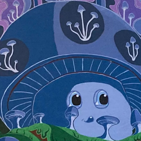 Fungi Festival Series