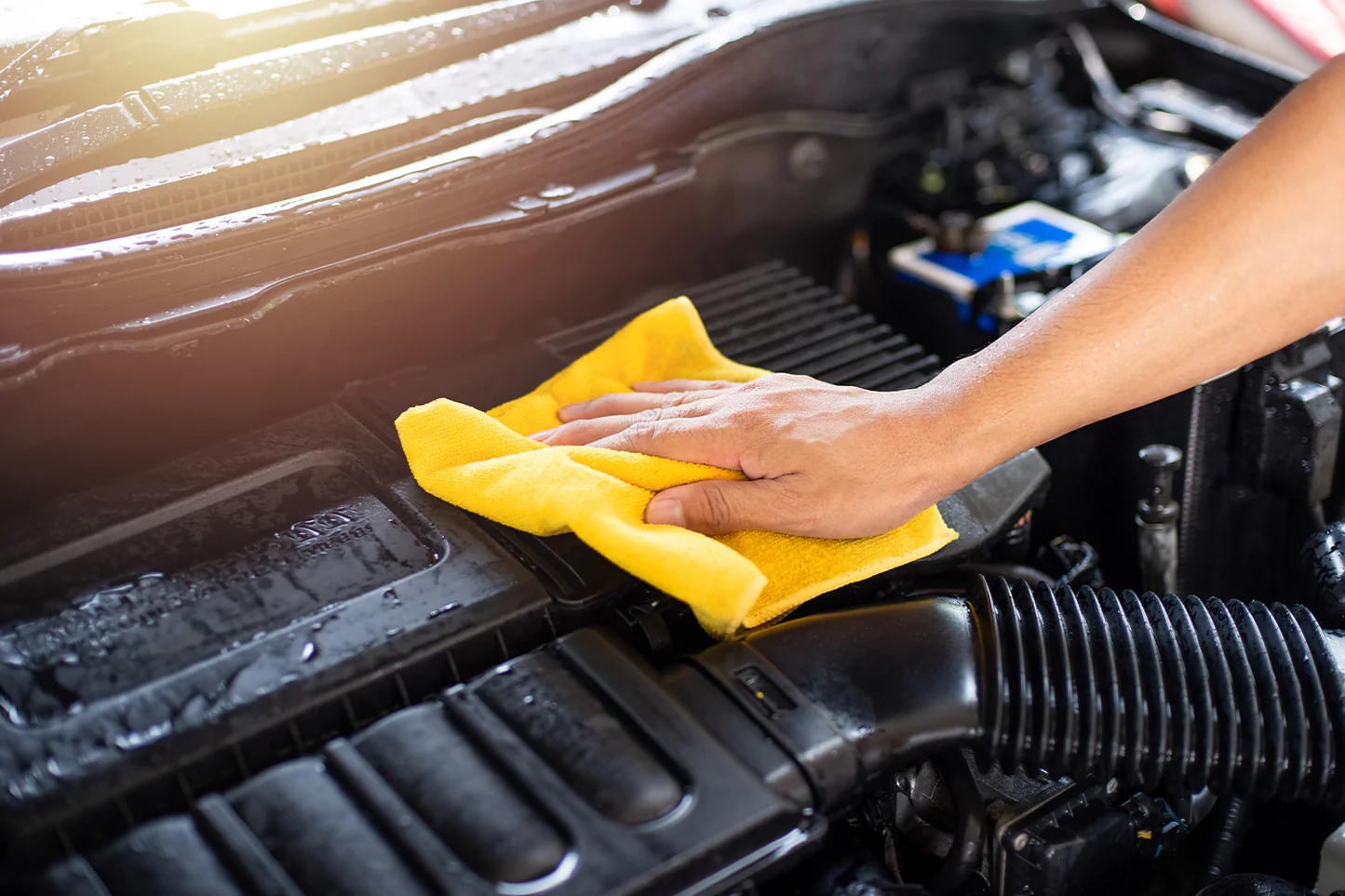 ENGINE BAY CLEANING