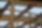 blank pics.png