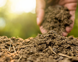 organic fertilizer.png