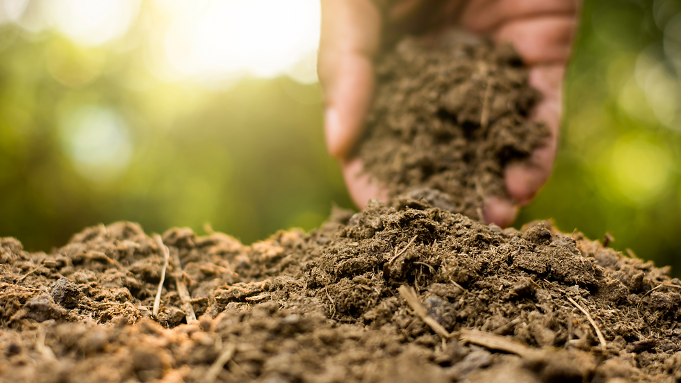 Organic fertilizer with someone holding a handful