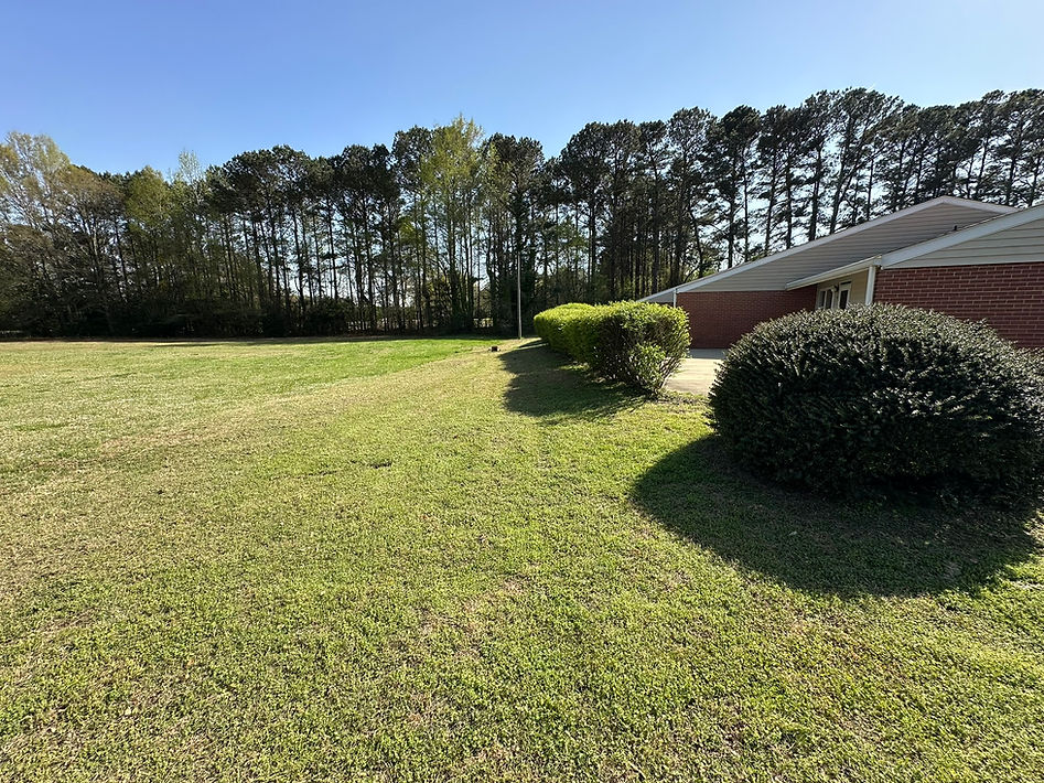 picture of a cut lawn