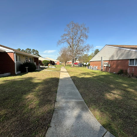 A green lawn with a sidewalk in the middle and two houses on the side 