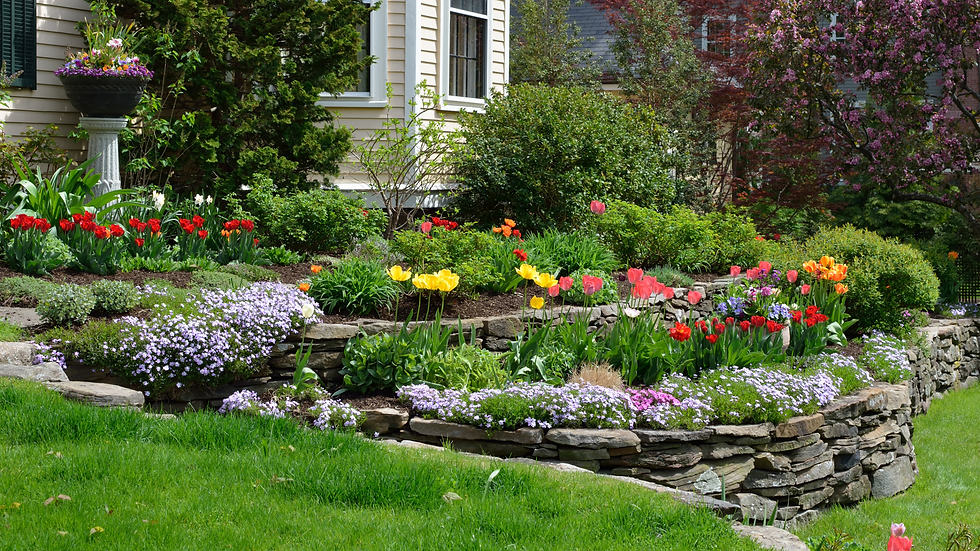A garden 