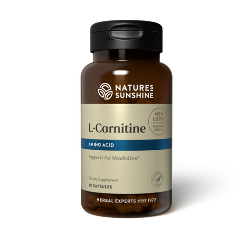 health genesis l-carnitine 500 mg VIOGENESIS L CARNITINE MIX (ACETYL