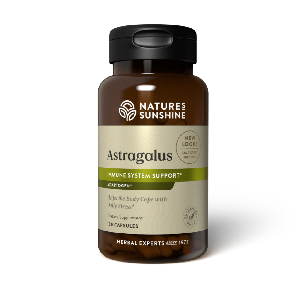 Astragalus (100 caps)