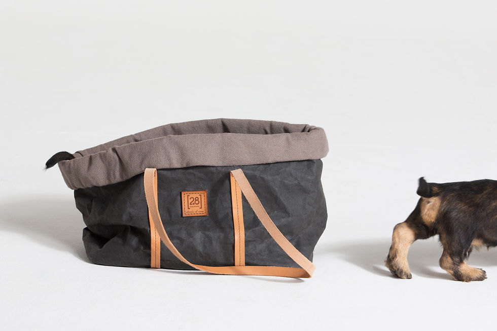 Miniature : ANNIE sac de transport