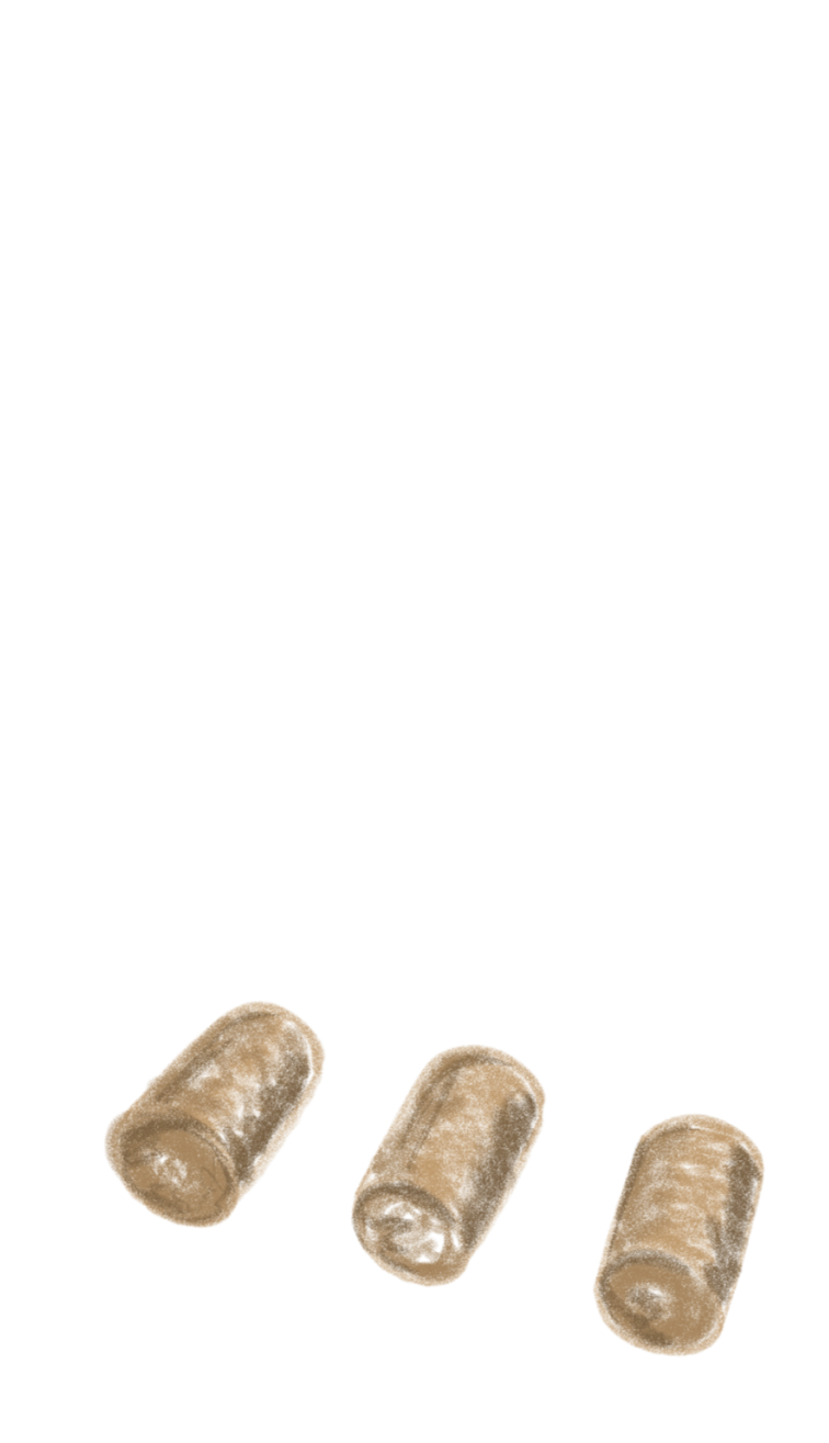 __פקקי שעם נחל__edited.png