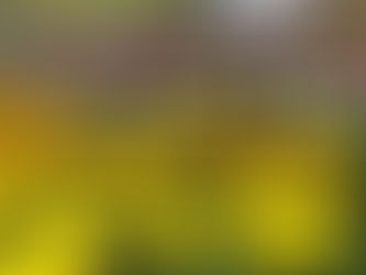 Great prices on summer bedding