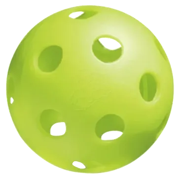 Writer: The Saint Paul Pickleball