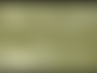 Unutkanlık Örtüsü (Veil of Forgetfulness) Nedir?