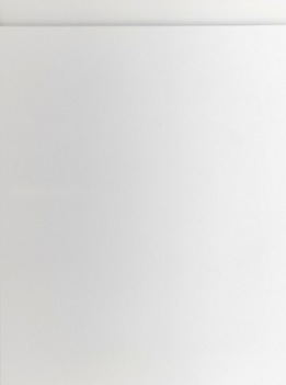 European Cabinet Door Glacier White