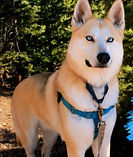 1000166400_edited.jpg