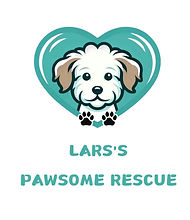 logo.jpg