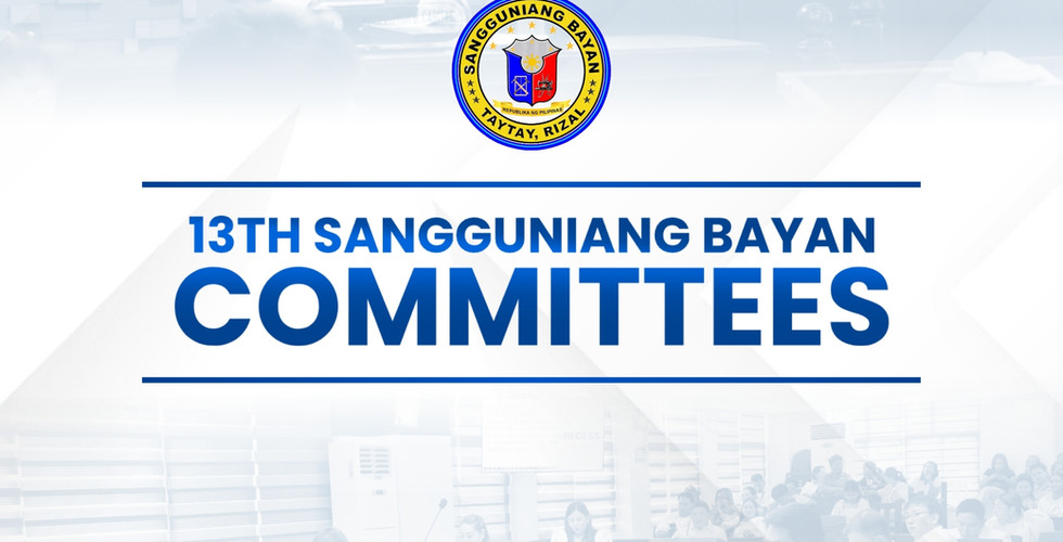13th Sangguniang Bayan Committee Chairmanships