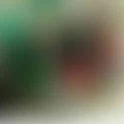 Special Assessment Day for PWD. Courtesy: Persons with Disabilities Affairs Office 