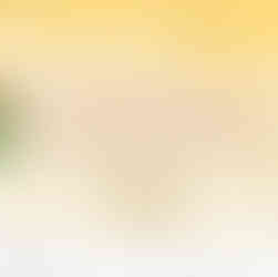  Triduum for the Solemn Declaration of  the Minor Basilica and Parish of St. John the Baptist.