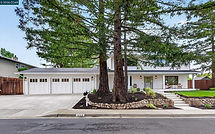 Green Craftsman House