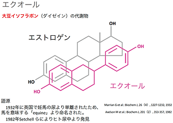 エストロゲンとエクオールの構造式の図