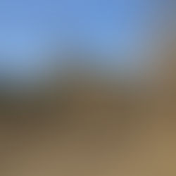 Den 14. - Přes rezervaci Bandia až do vysněného cíle v Dakaru