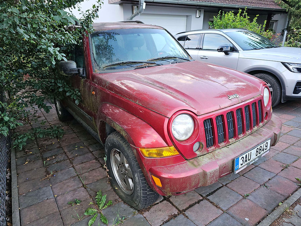 Nálezový stav červenec 2024