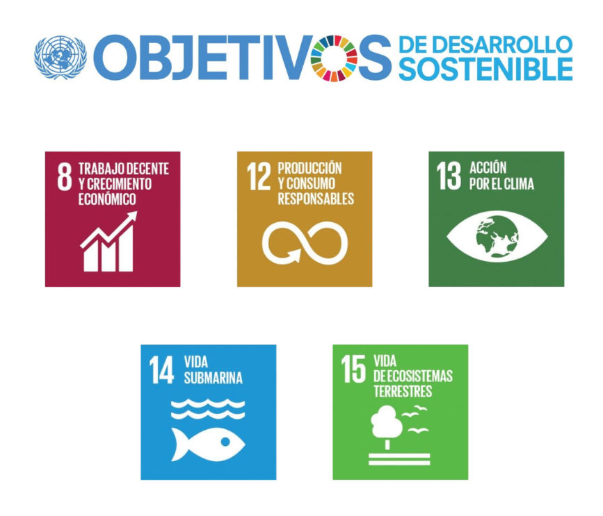 ODS aplicables a Social Travelers