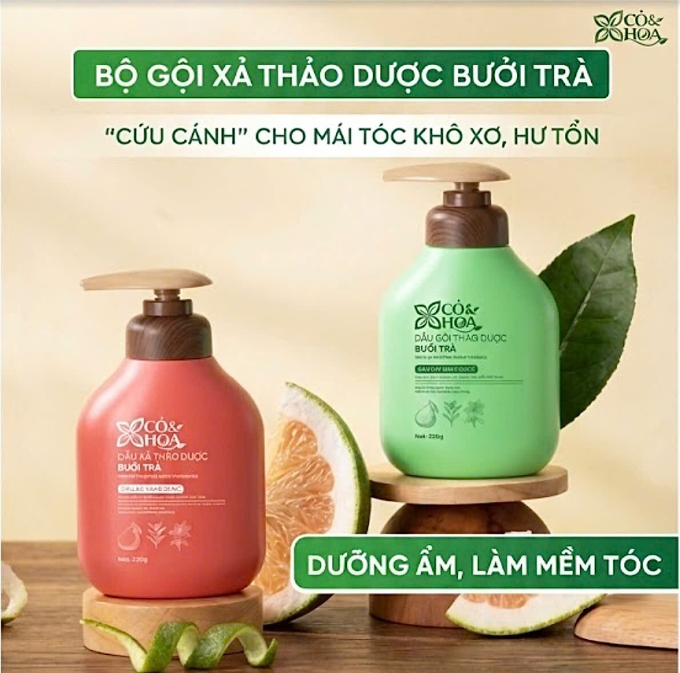 Hình ảnh1.png