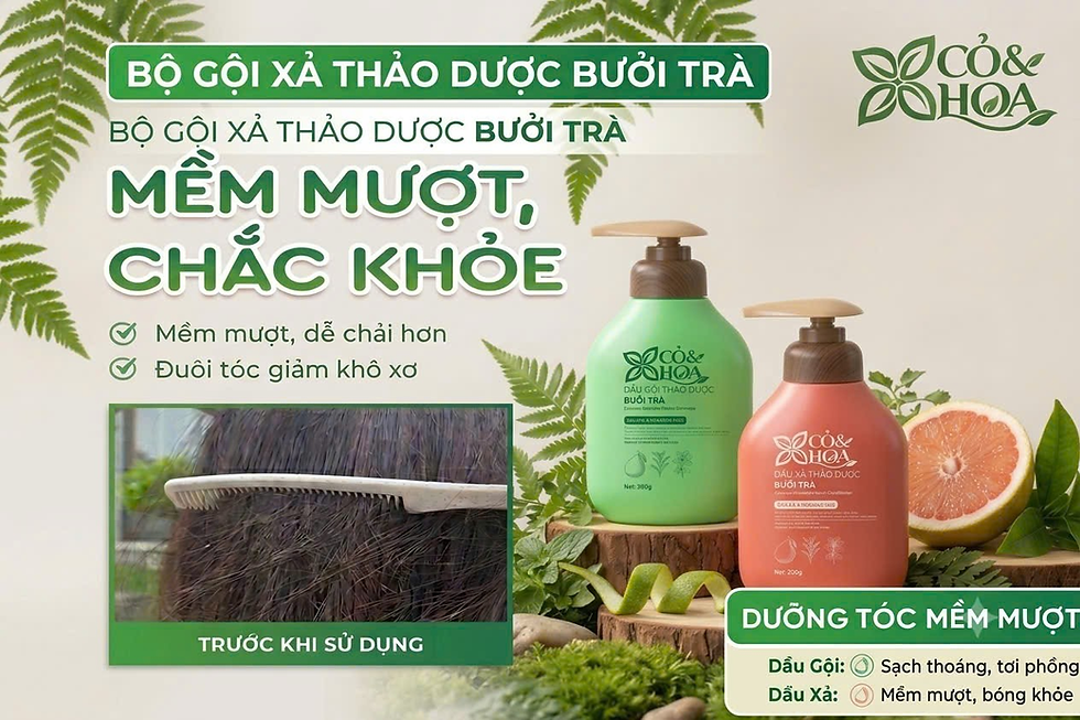 Hình ảnh8.png