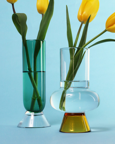 Collar (Amber) | toumei