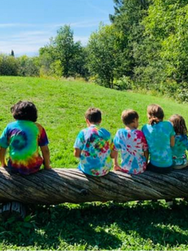 Open Letter to RVCA re our bridge, April 20th 2023