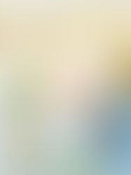 The Story of Blueberry Creek Forest School being bullied by Tay Valley Township