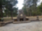6 photo