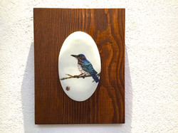 pottery plate