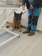 2023-12-20 13.11.59.jpg