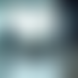 Expert Commercial Cleaners in TX