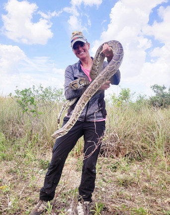 Gallery of Python Catches - Python Hunter | Python Huntress | Amy Siewe