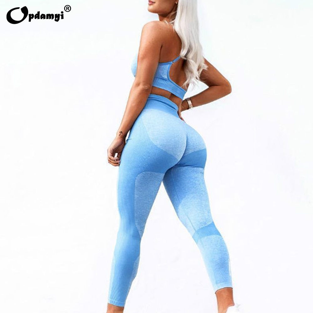 Yoga Workout Clothes for Women Sports Bra High Waist Leggings Seamless Wear