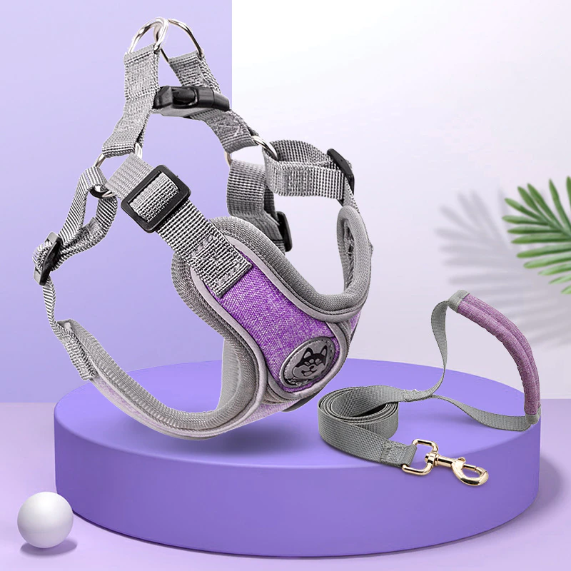 Thumbnail: Reflective Dog Harness and Leash Set Breathable Nylon Pet Harness Vest 
