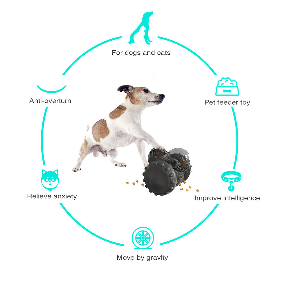 Thumbnail: PetSlow Feeder Tumbler Interactive Toys Increases Pet IQ 