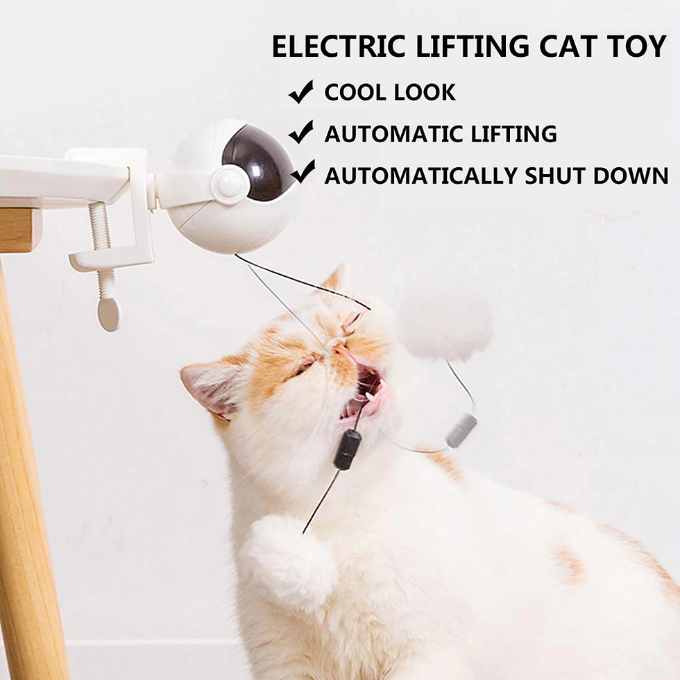 Thumbnail: Electric Cat Toy Automatic Lifting Cat Ball Toy Interactive 