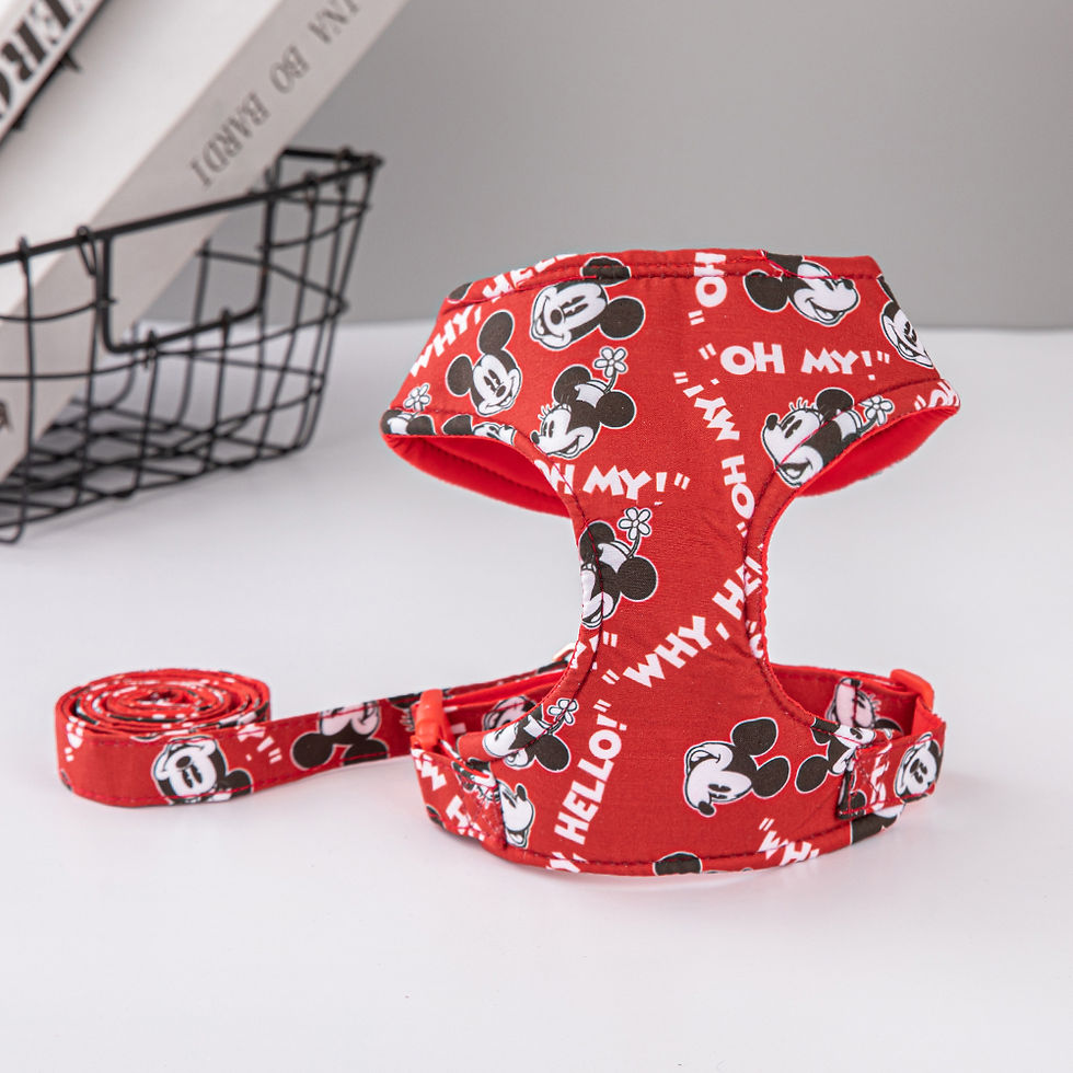 Thumbnail: Trendy Dog Leash Disney Outdoor Pet Harness and Leash Set